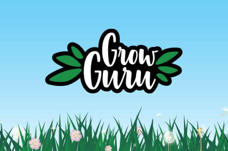 GrowGuru – Die richtige Ausrüstung für den ersten Eigenanbau