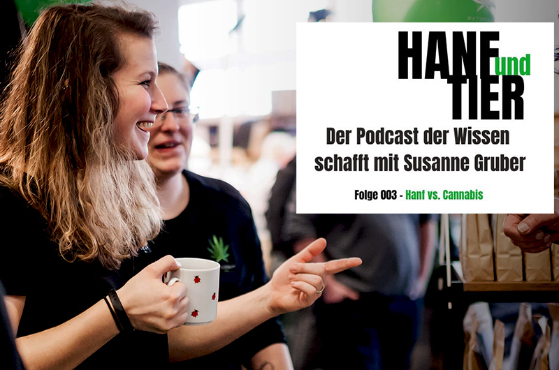Podcast: Hanf vs. Cannabis