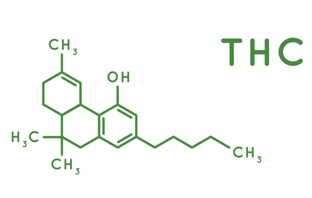 Podcast: Die bekanntesten Cannbinoide: THC