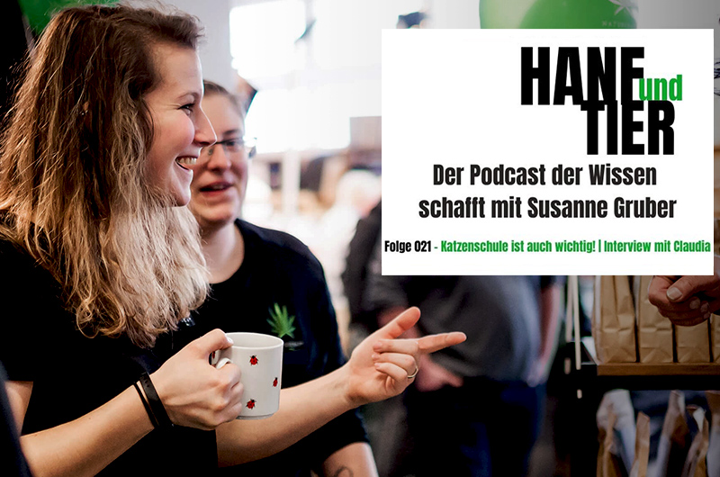 Podcast: Interview mit Katzentrainerin Claudia