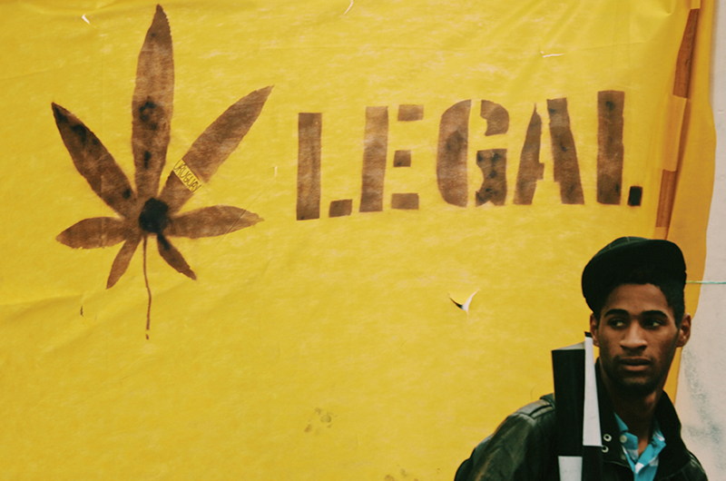 Legalisierungsjahr 2021? Der USA Cannabis-Boom weiter im Steilflug