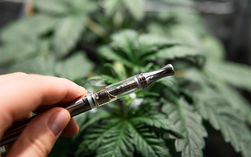 Effizient und Genussvoll: Wie ein Vaporizer dein Cannabis-Erlebnis optimiert