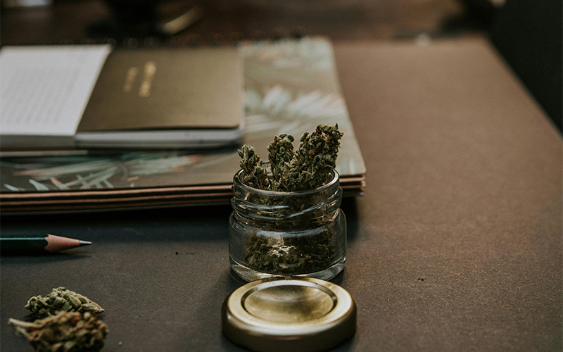 Cannabis erklärt: Wie es wirkt und was es von Tabak unterscheidet