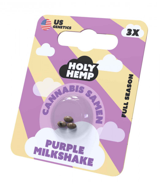 Purple Milkshake Cannabissamen von Holy Hemp