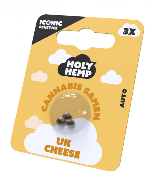 UK Cheese Cannabissamen - Holy Hemp