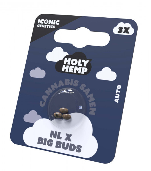 NL x Big Buds Cannabissamen - Holy Hemp