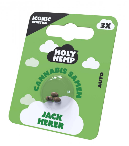 Jack Herer Cannabissamen - Holy Hemp