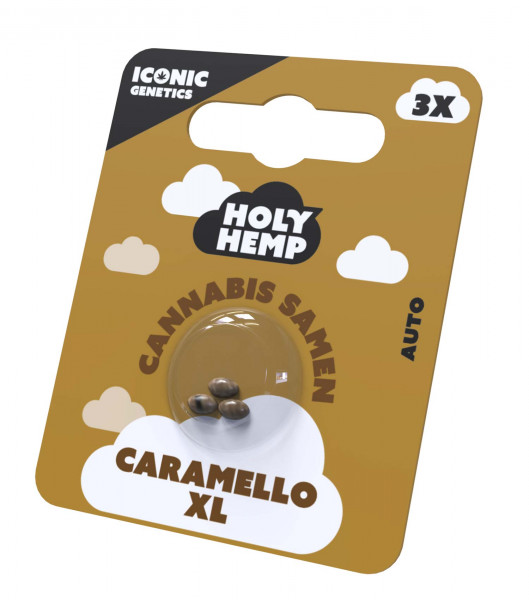 Caramello XL Cannabissamen - Holy Hemp