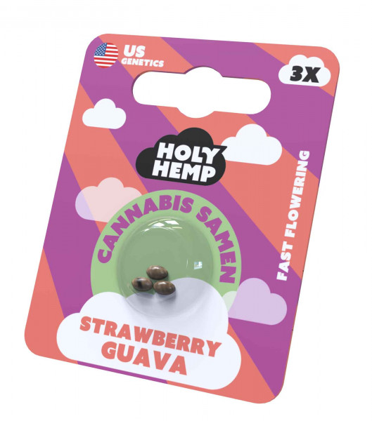 Strawberry Guava Cannabissamen - Holy Hemp