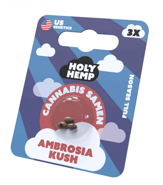 Ambrosia Kush Cannabissamen von Holy Hemp