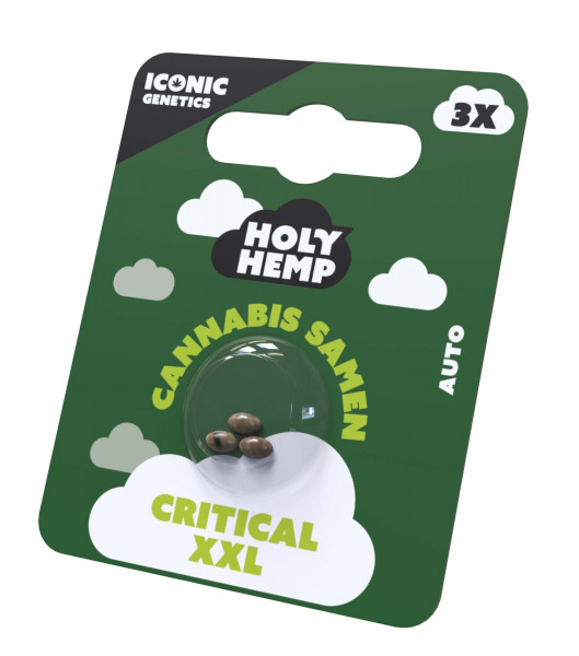 Critical XXL Cannabissamen - Holy Hemp