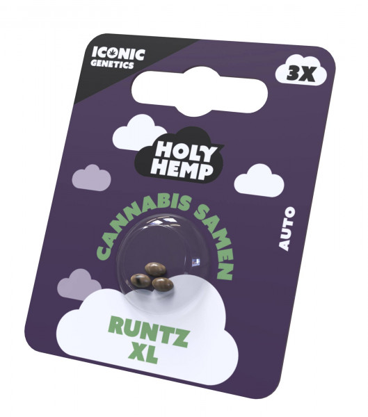 Runtz XL Cannabissamen - Holy Hemp